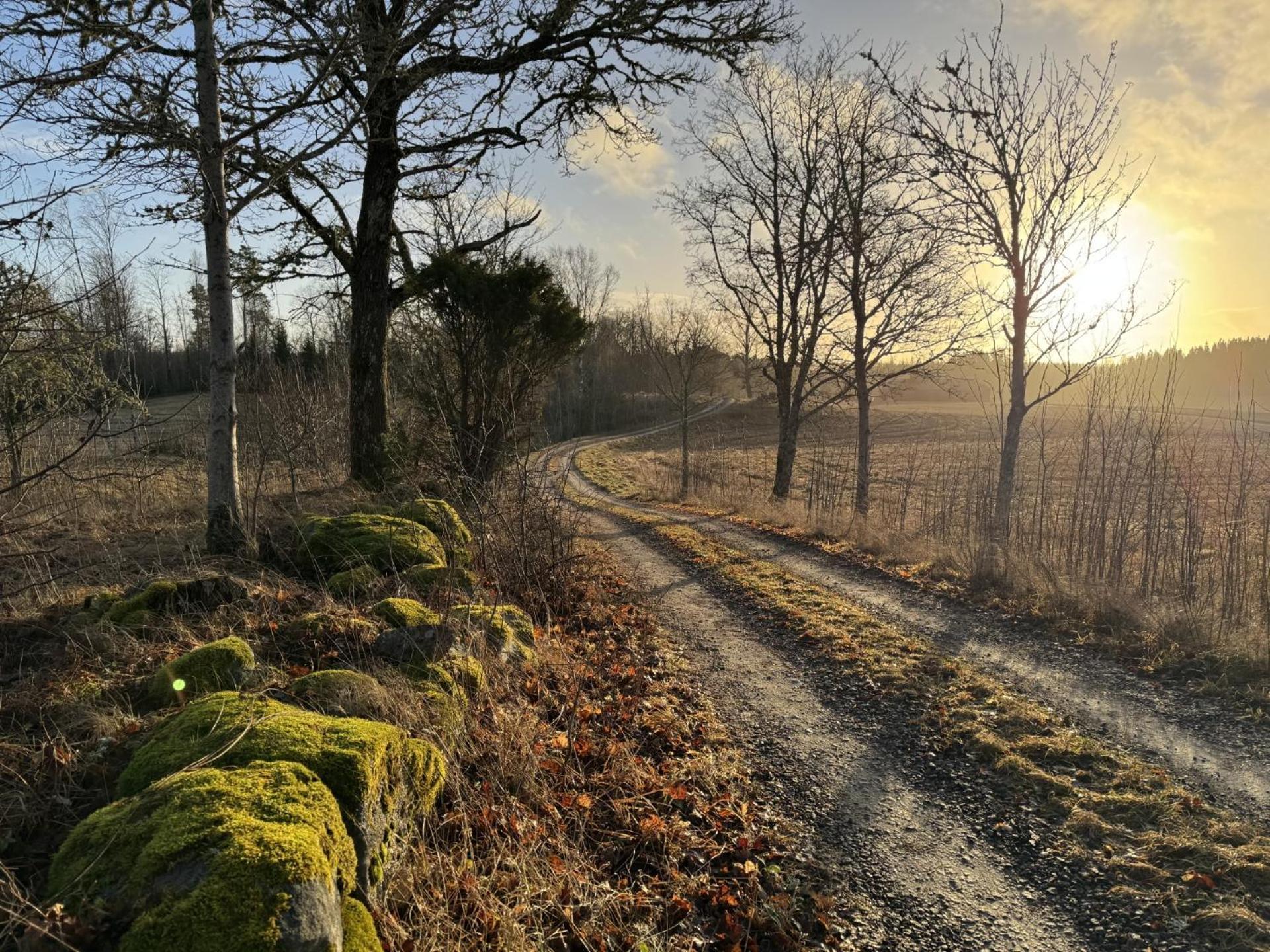 Noretjaerns Stugby Årjäng Buitenkant foto