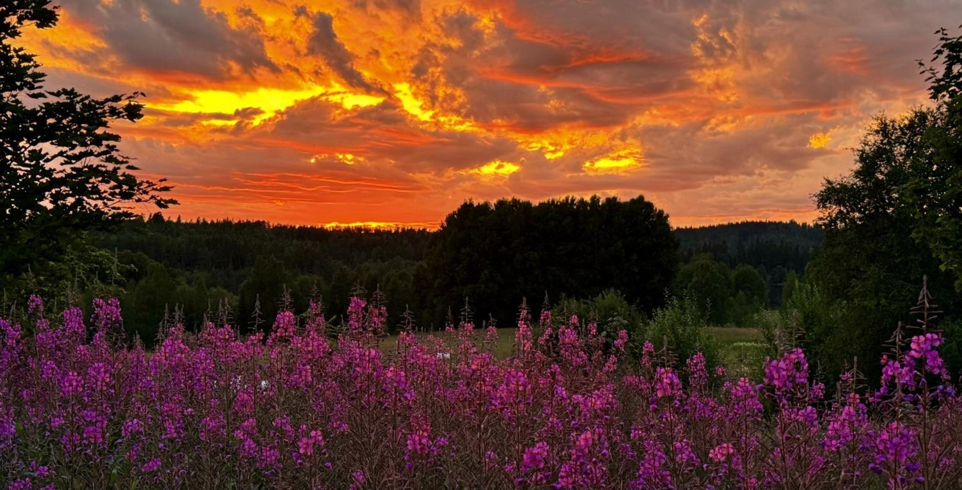 Noretjaerns Stugby Årjäng Buitenkant foto