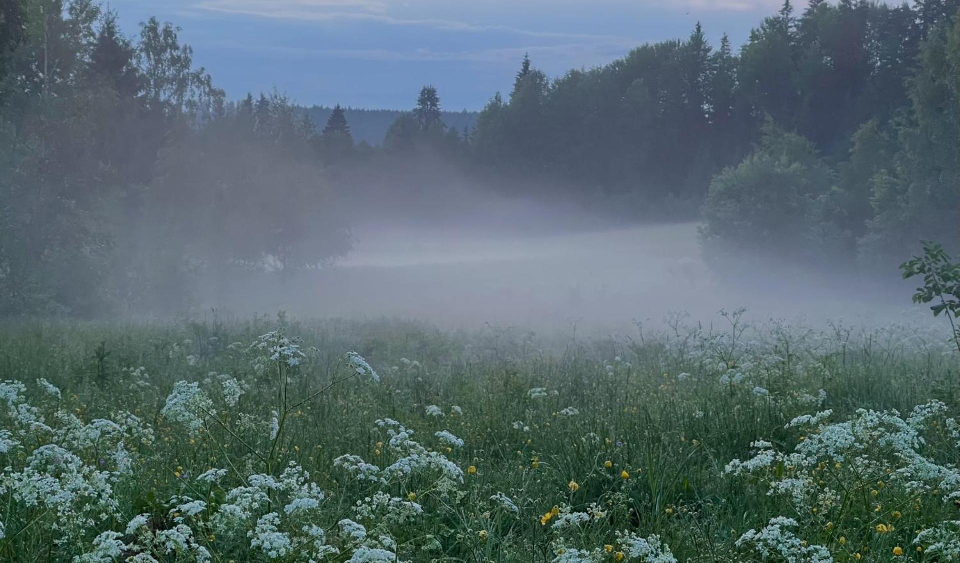 Noretjaerns Stugby Årjäng Buitenkant foto