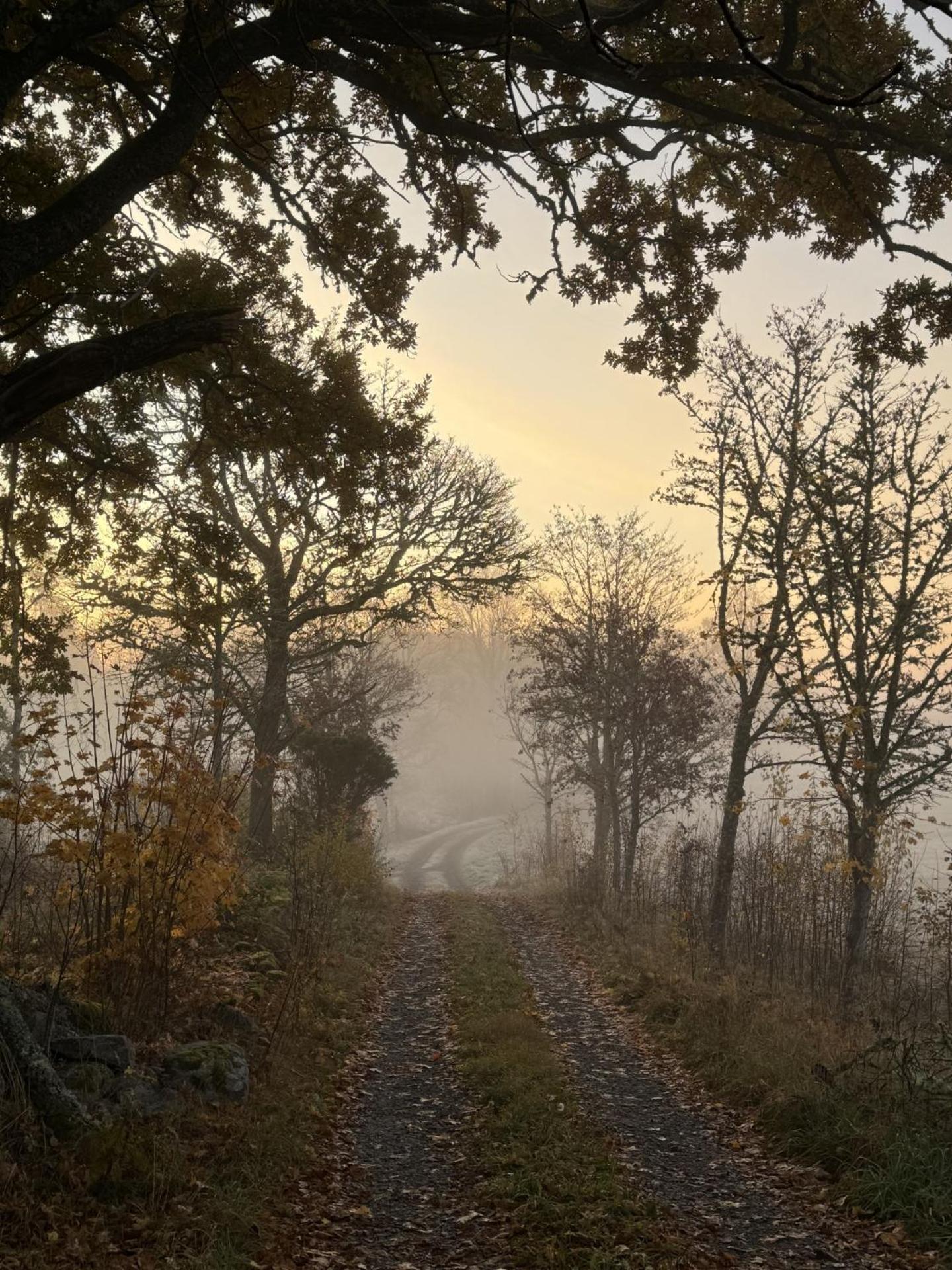 Noretjaerns Stugby Årjäng Buitenkant foto