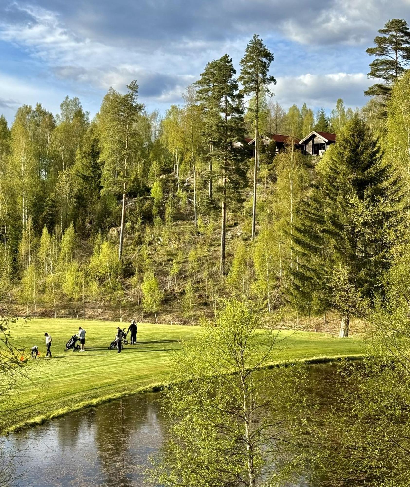 Noretjaerns Stugby Årjäng Buitenkant foto