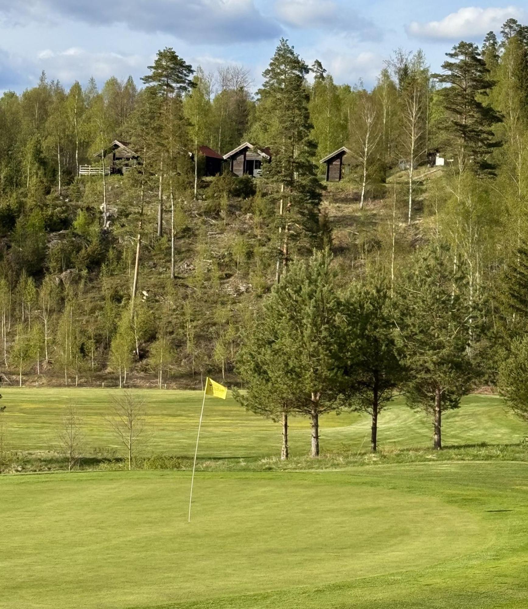 Noretjaerns Stugby Årjäng Buitenkant foto